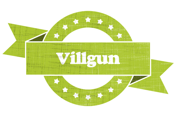 Villgun change logo