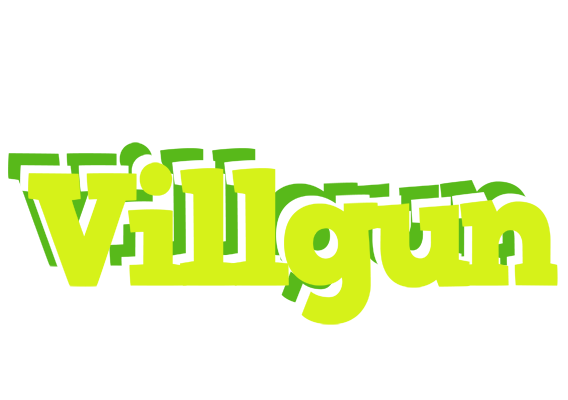 Villgun citrus logo