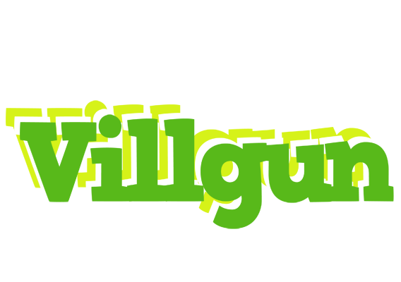 Villgun picnic logo
