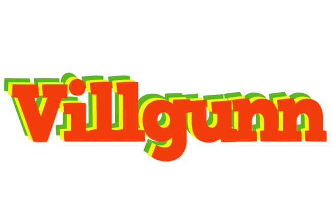Villgunn bbq logo