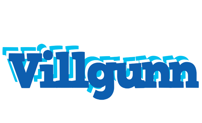 Villgunn business logo