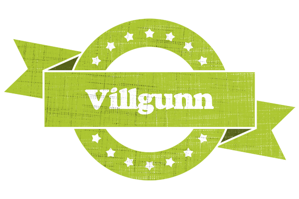 Villgunn change logo