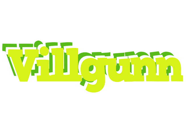 Villgunn citrus logo