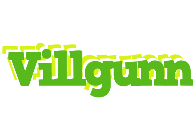 Villgunn picnic logo