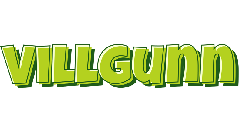 Villgunn summer logo