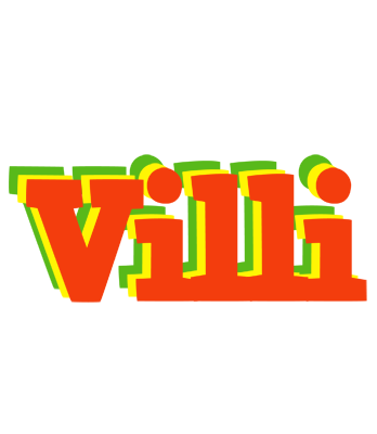 Villi bbq logo