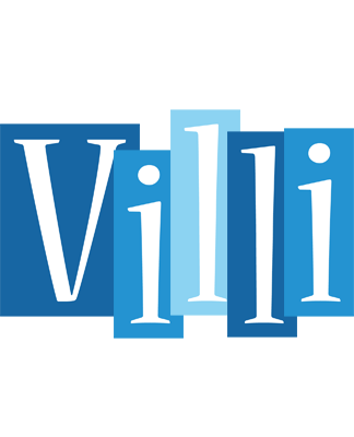 Villi winter logo