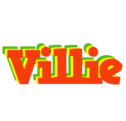 Villie bbq logo