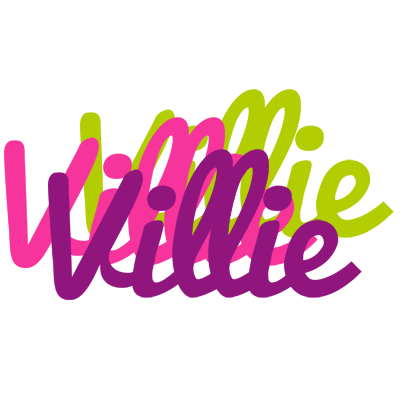 Villie flowers logo
