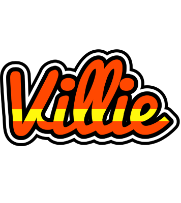 Villie madrid logo