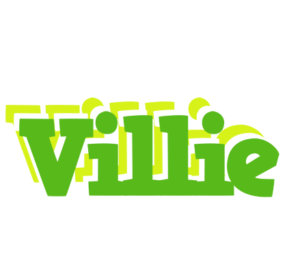 Villie picnic logo