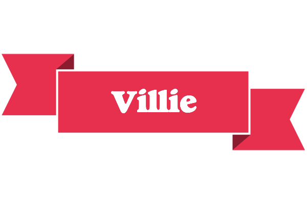 Villie sale logo