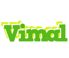 Vimal picnic logo