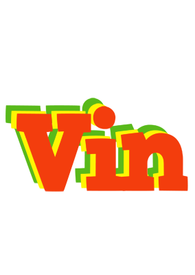 Vin bbq logo