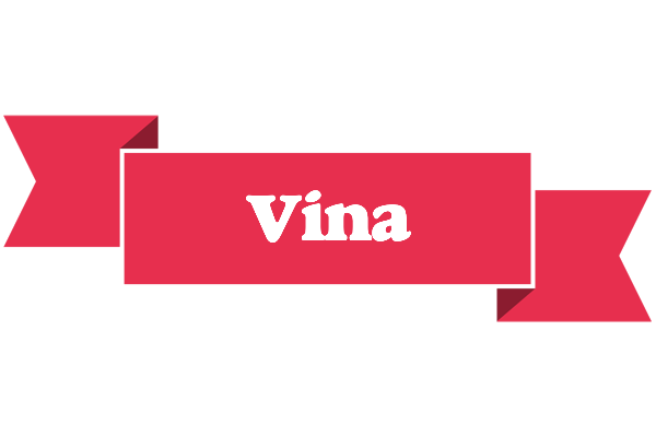 Vina sale logo