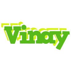 Vinay picnic logo