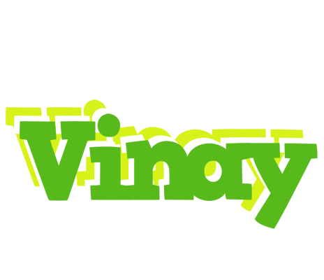 Vinay picnic logo