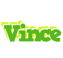 Vince picnic logo