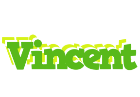 Vincent picnic logo