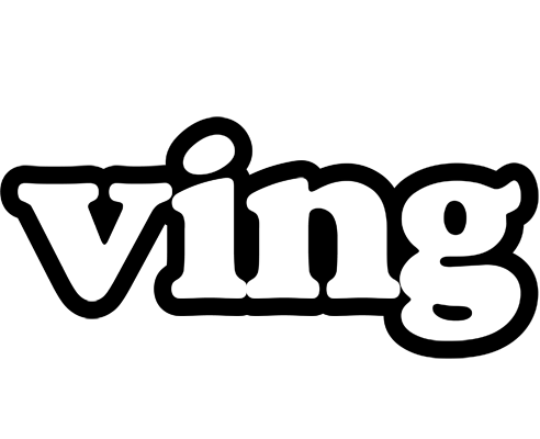 Ving panda logo