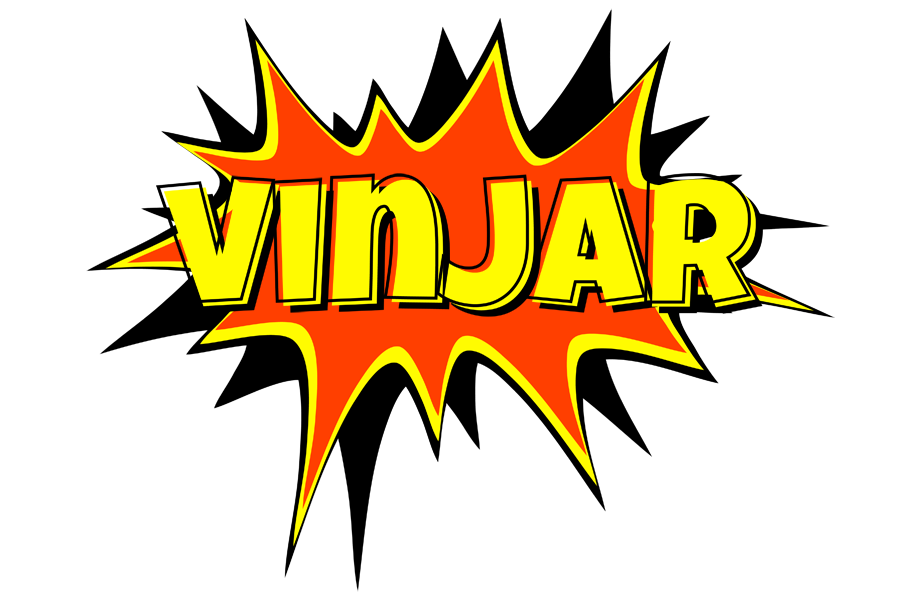 Vinjar bazinga logo