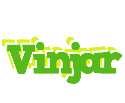 Vinjar picnic logo