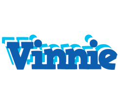 Vinnie business logo