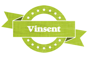 Vinsent change logo