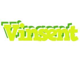 Vinsent citrus logo