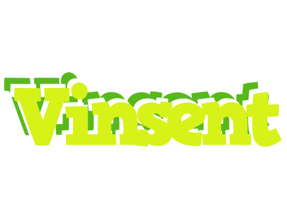 Vinsent citrus logo