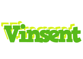 Vinsent picnic logo