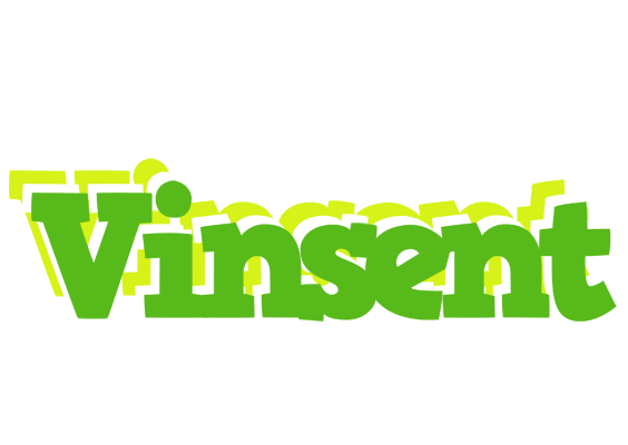 Vinsent picnic logo