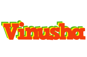 Vinusha bbq logo