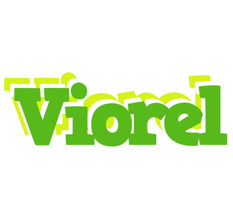 Viorel picnic logo