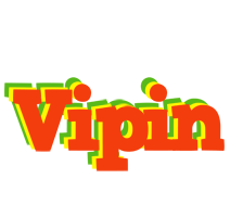 Vipin bbq logo