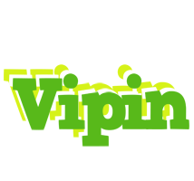 Vipin picnic logo