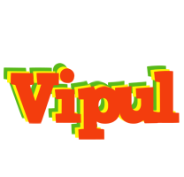 Vipul bbq logo