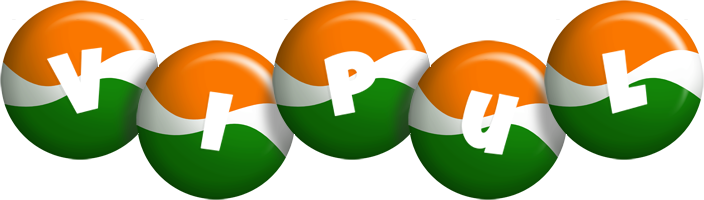 Vipul india logo