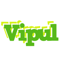 Vipul picnic logo