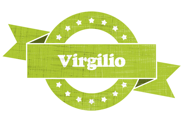 Virgilio change logo