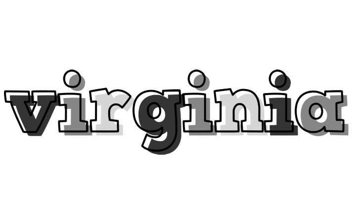 Virginia night logo