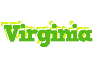 Virginia picnic logo