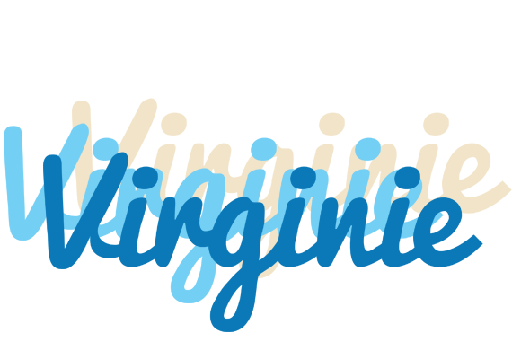 Virginie breeze logo