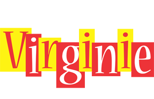 Virginie errors logo