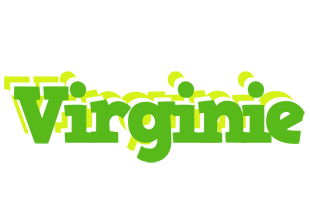 Virginie picnic logo