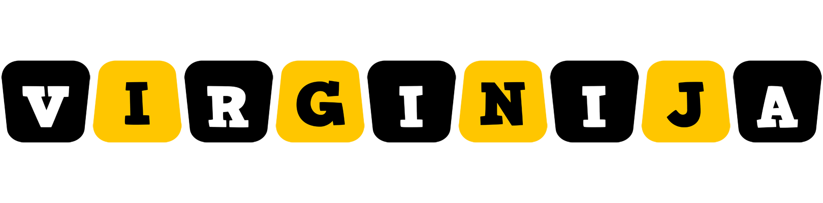 Virginija boots logo