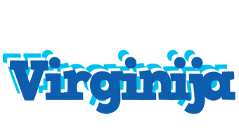 Virginija business logo