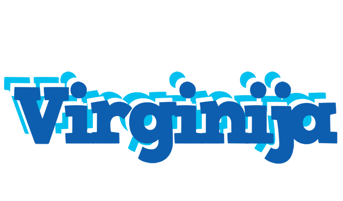 Virginija business logo