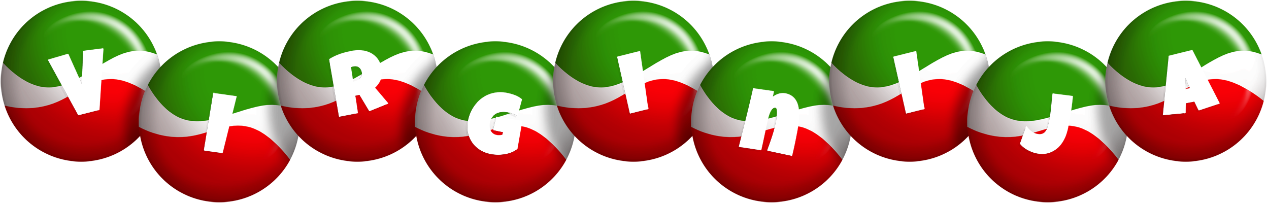 Virginija italy logo