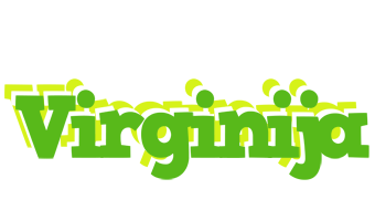 Virginija picnic logo